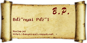 Bányai Pál névjegykártya