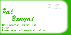 pal banyai business card