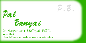 pal banyai business card